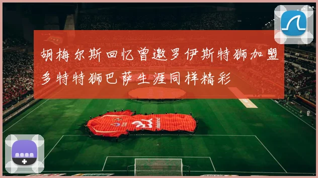 胡梅尔斯回忆曾邀罗伊斯特狮加盟多特特狮巴萨生涯同样精彩