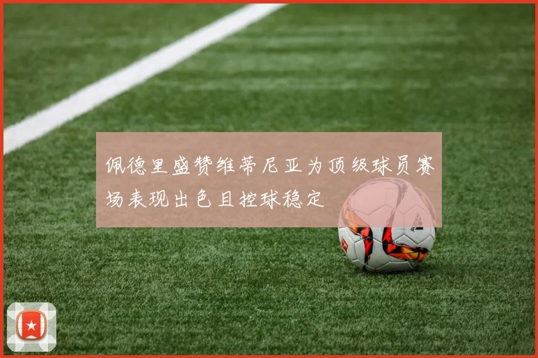佩德里盛赞维蒂尼亚为顶级球员赛场表现出色且控球稳定